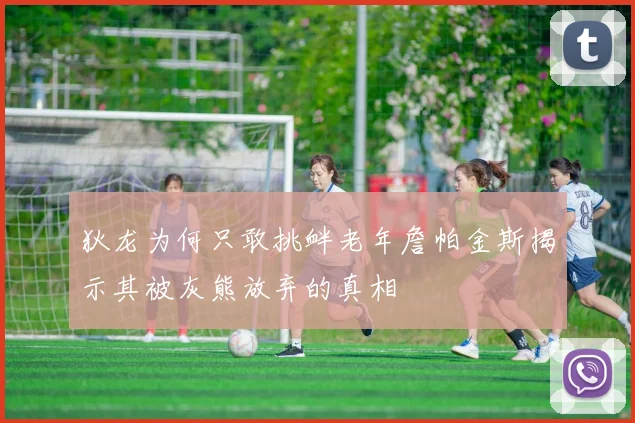 狄龙为何只敢挑衅老年詹帕金斯揭示其被灰熊放弃的真相