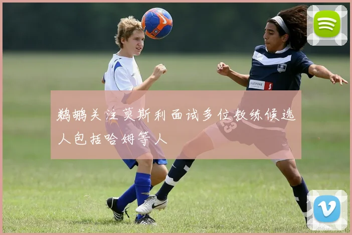 鹈鹕关注莫斯利面试多位教练候选人包括哈姆等人